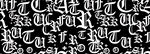 字母