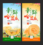 哈密瓜