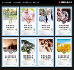 敬老院展板