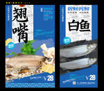 翘嘴