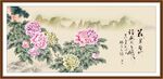 牡丹