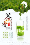 茶叶海报
