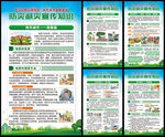 国际减灾日