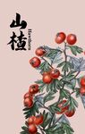 山楂 