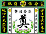 绿连体白荷花