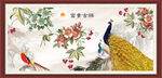 孔雀图
