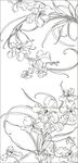 兰花