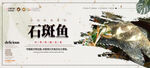 石斑鱼