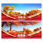 胡杨林