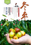 冬枣