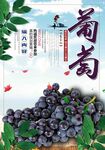 葡萄