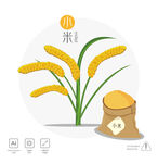 小米