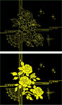 玫瑰花