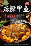 麻辣甲鱼