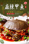 麻辣甲鱼