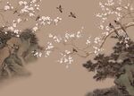 花鸟
