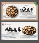 鹿茸海报