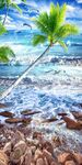 沙滩椰树海鸥玄关