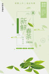 春茶上新海报