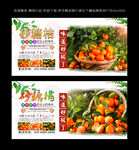 砂糖橘  
