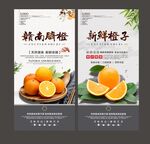橙子