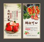 草莓