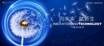 蒲公英kv