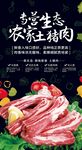 猪肉海报