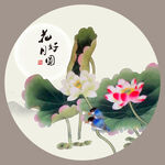 荷花