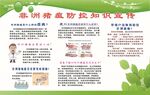 非洲猪瘟防控知识宣传