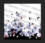 定位花 蝴蝶