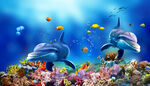 海底世界