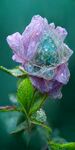 现代3d立体抽象花朵装饰画