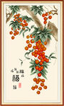 荔枝 
