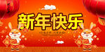 兔年