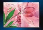 花蕊红 手册封面
