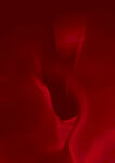 红色底纹