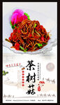 茶树菇