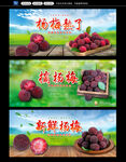 杨梅