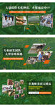 澳洲龙虾banner