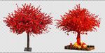 桃花树许愿树