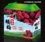 杨梅包装设计