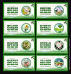 殡葬改革