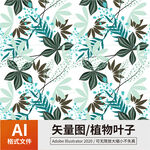 植物叶子