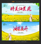 油菜花