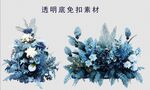 蓝色路引花