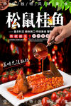 松鼠桂鱼