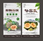 哈密瓜