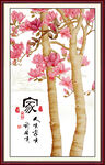 玉兰花