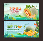 哈密瓜